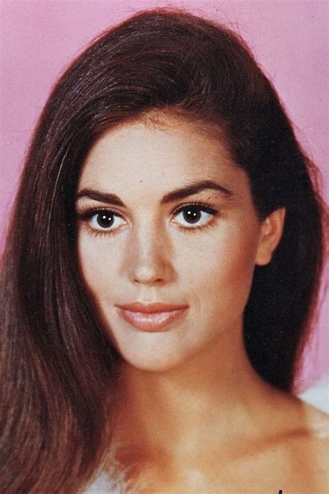 linda harrison